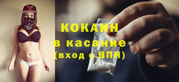 дмт Алексин