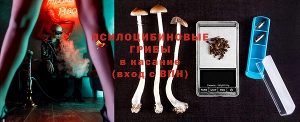дмт Алексин